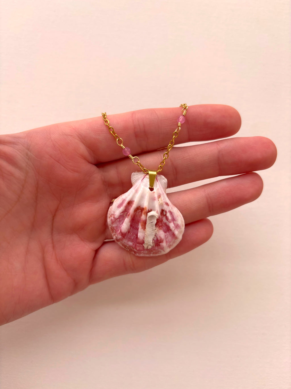 Pink Paradise Shell Necklace