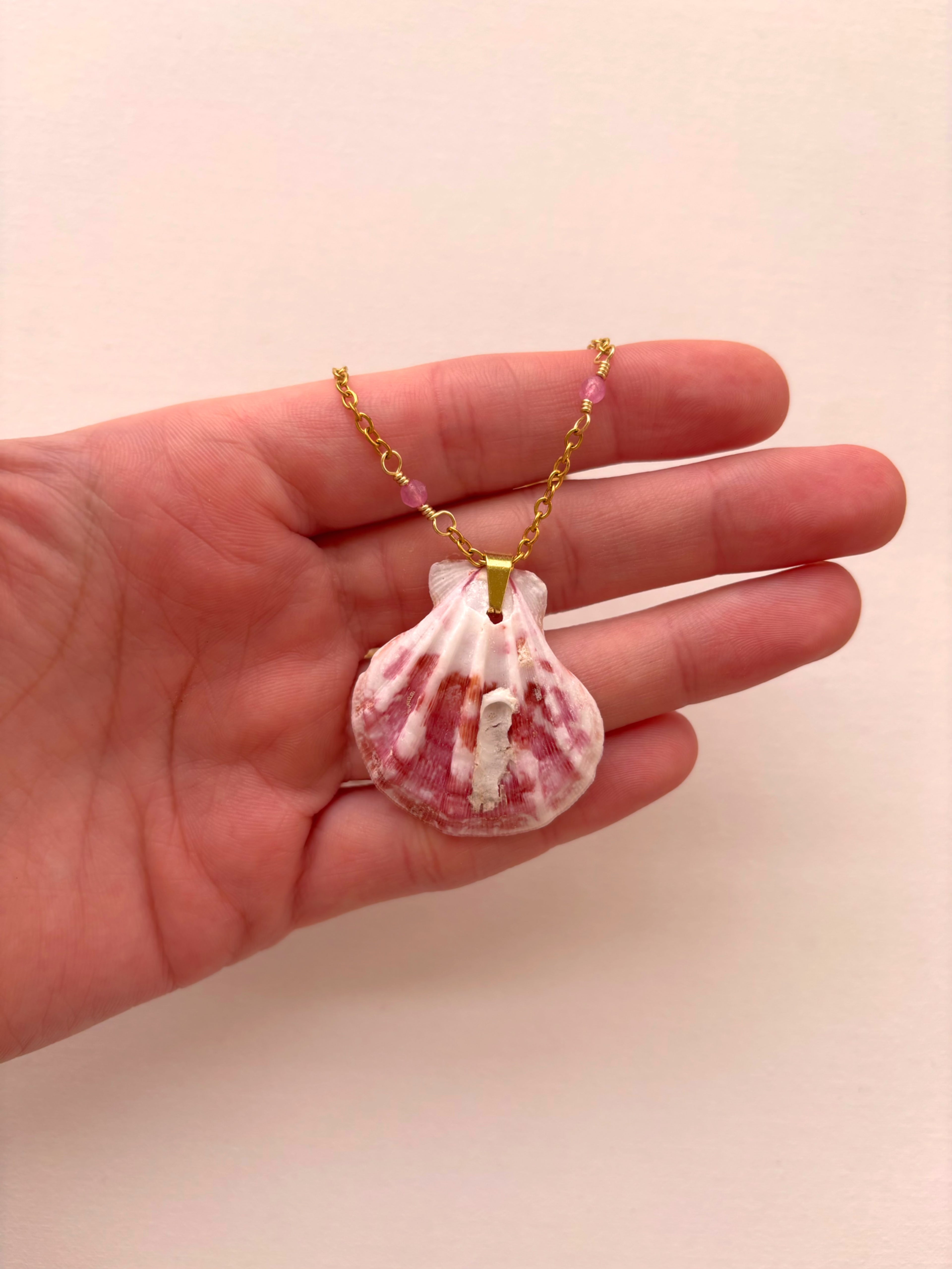 Pink Paradise Shell Necklace