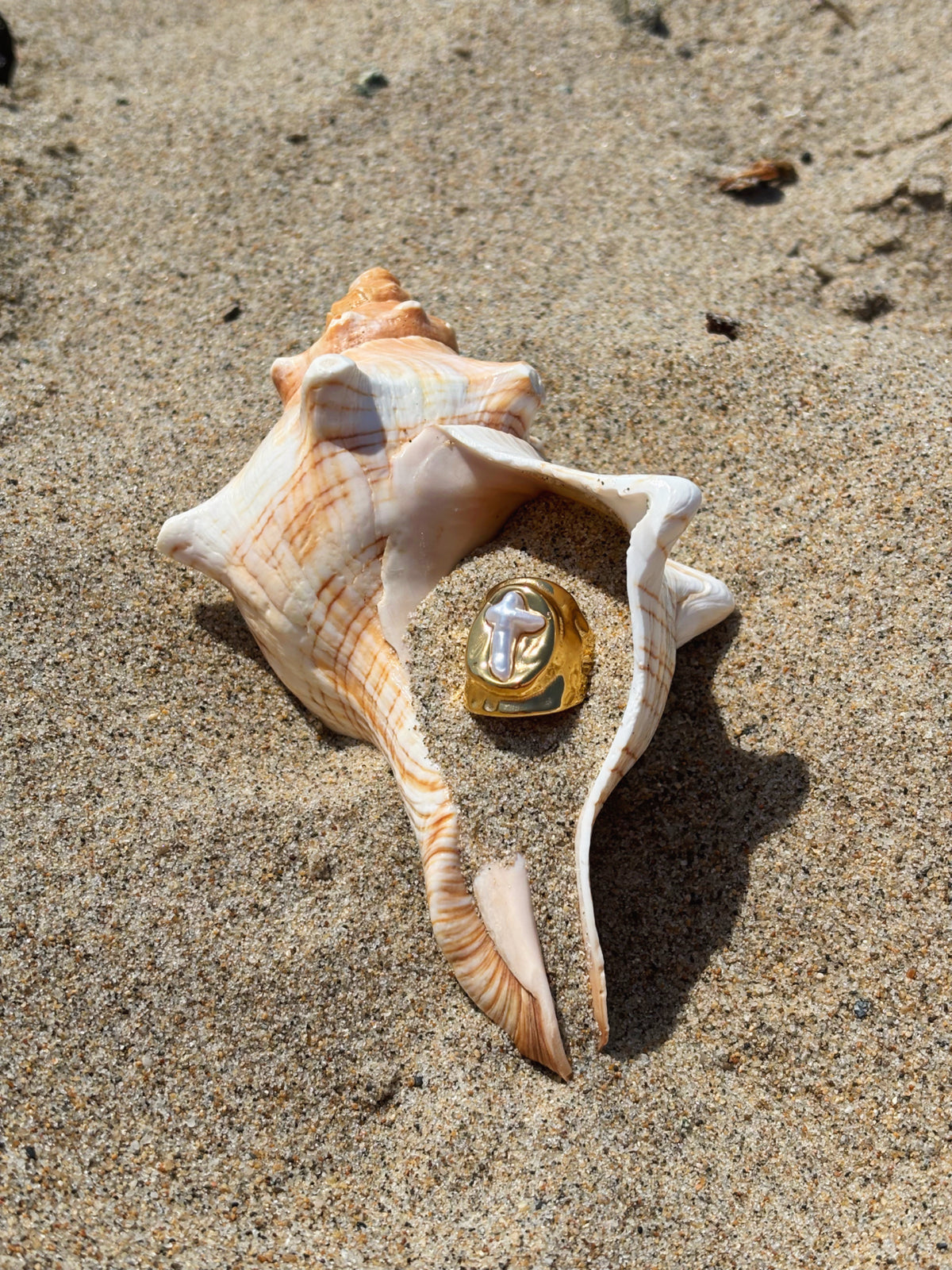 Coastline Ring