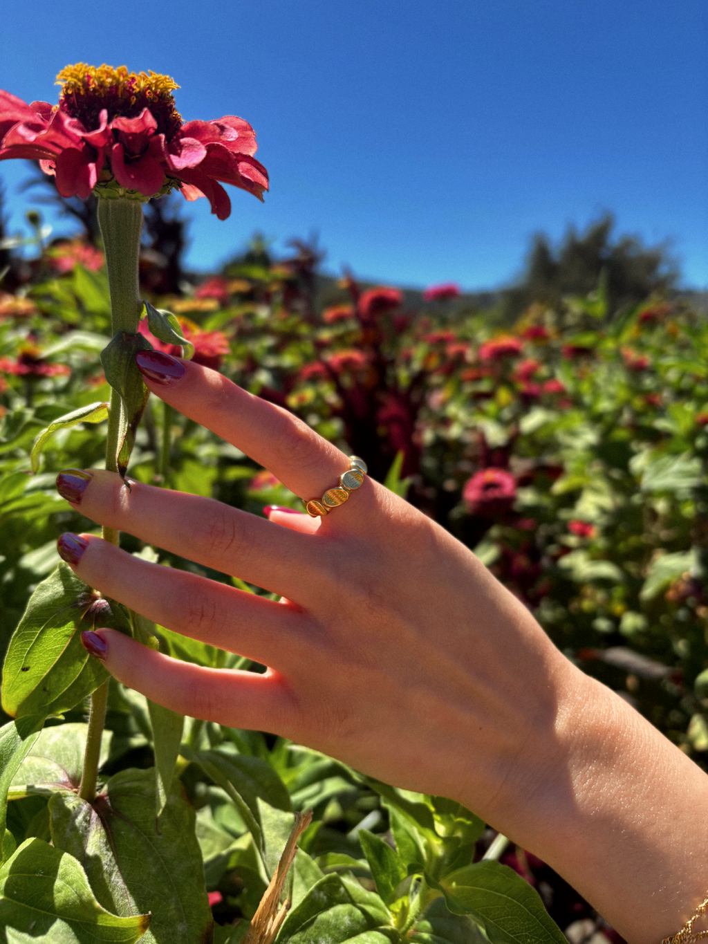 Applewood Ring