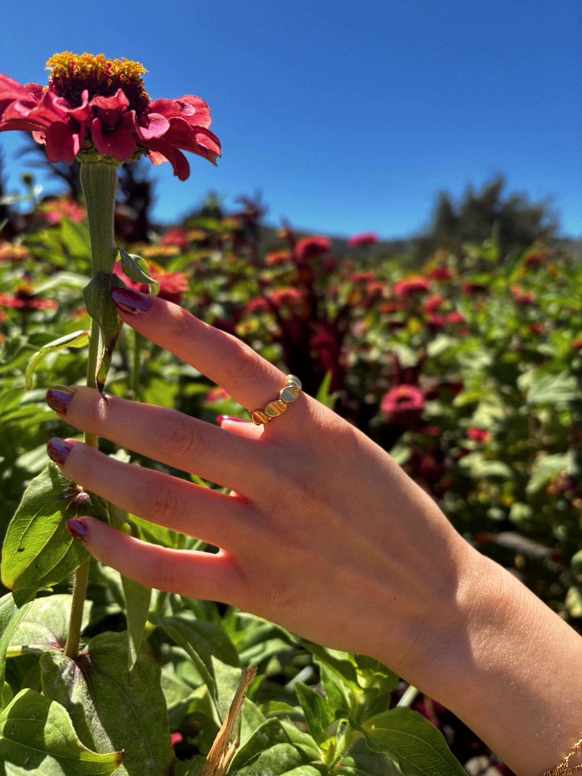 Applewood Ring