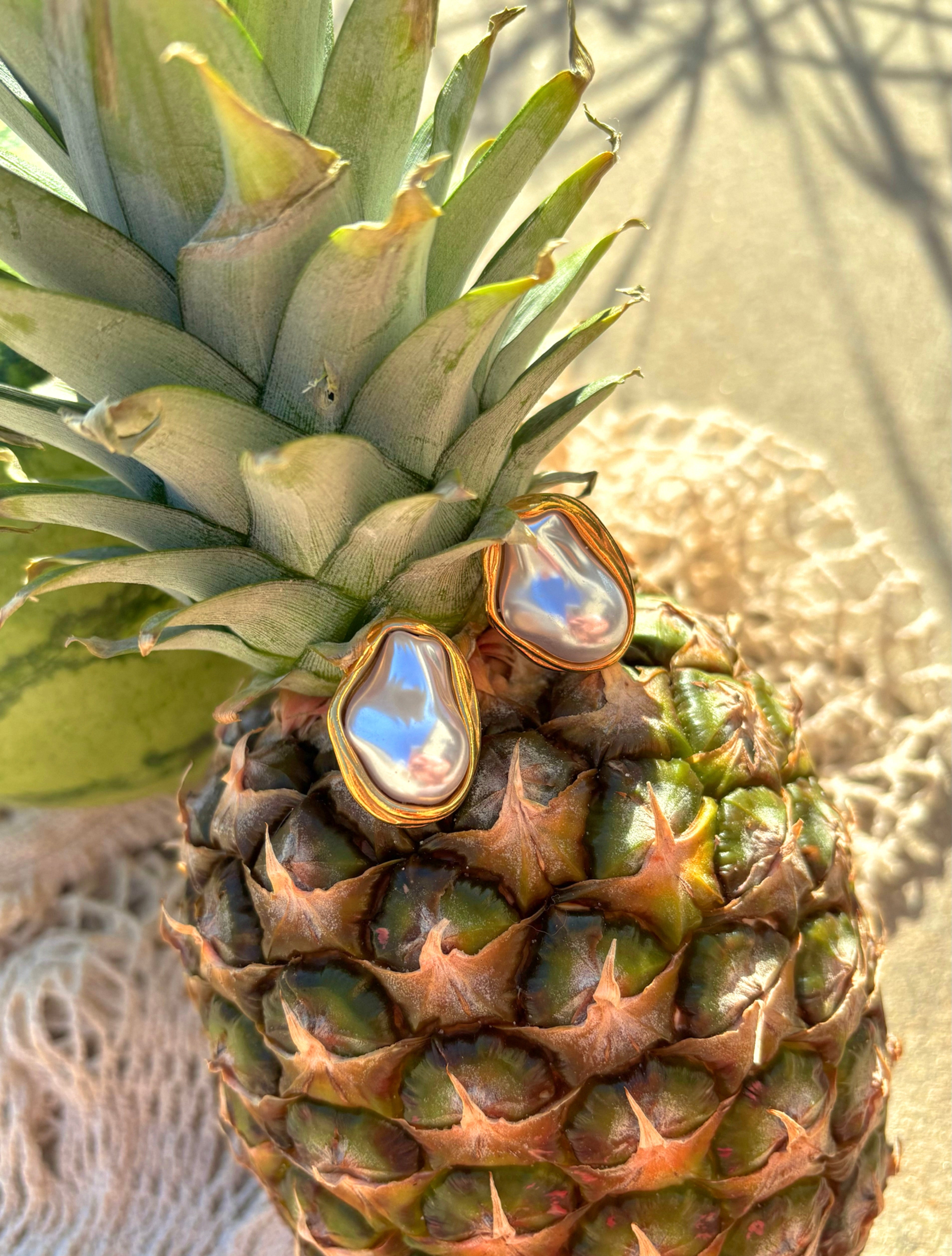 Coconut Coast Earrings