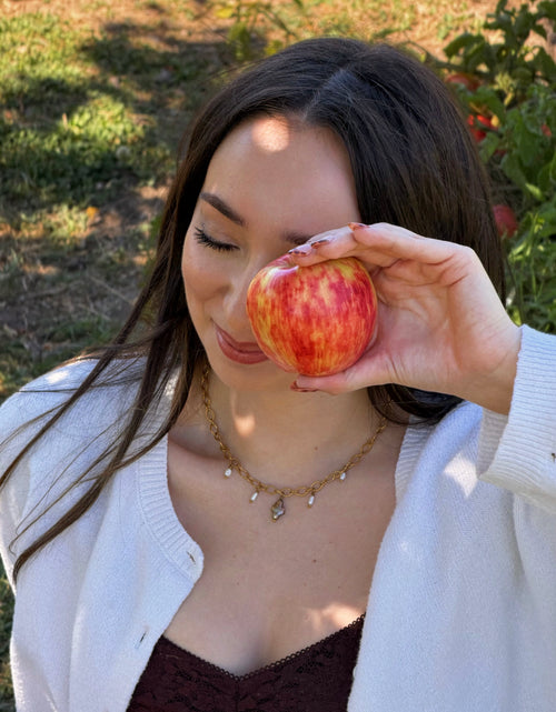 Cinnamon Cider Charm Necklace